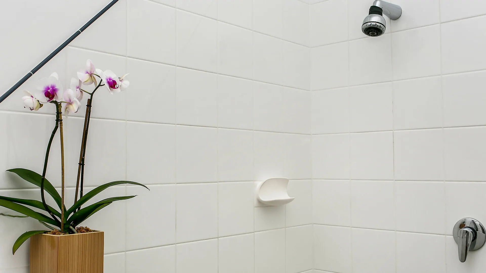 Apartment Taylors At Tallows Holiday Rental Byron Bay